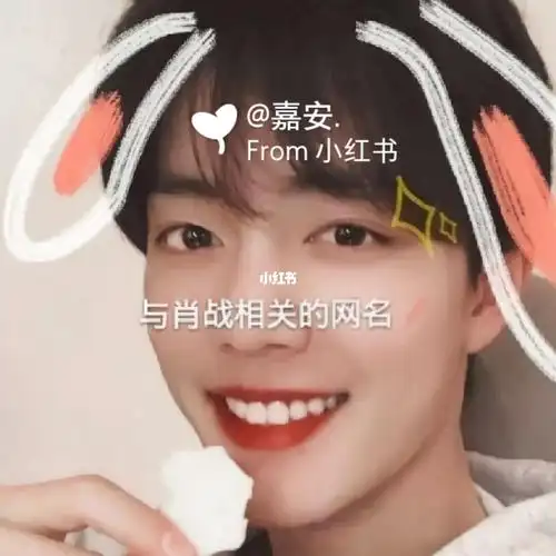 肖战73小飞侠专属网名_壁纸_肖战_娱乐_明星娱乐资讯