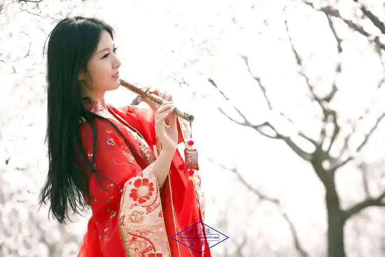 【转载】〖古韵大图〗杏林春早〖唯美古典人物素材