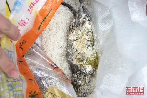 (米袋里的死老鼠,看起来很恶心)
