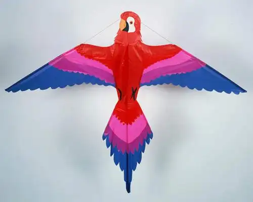 鹦鹉,静物,玩具,伸展,张开,展翅,翅膀,鸟类,玩,娱乐,一个,动物,风筝