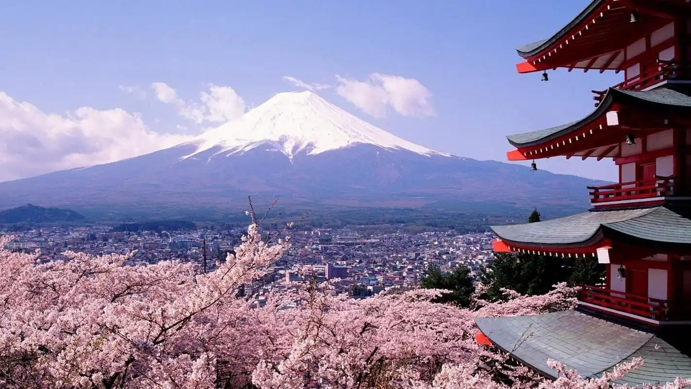 首页 桌面壁纸 风景壁纸 绚丽日本樱花唯美高清桌面壁纸1920_1080手机