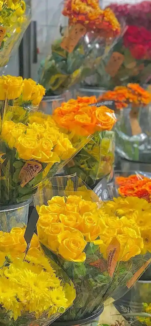 用了就舍不得换的ins风壁纸~_壁纸_ins