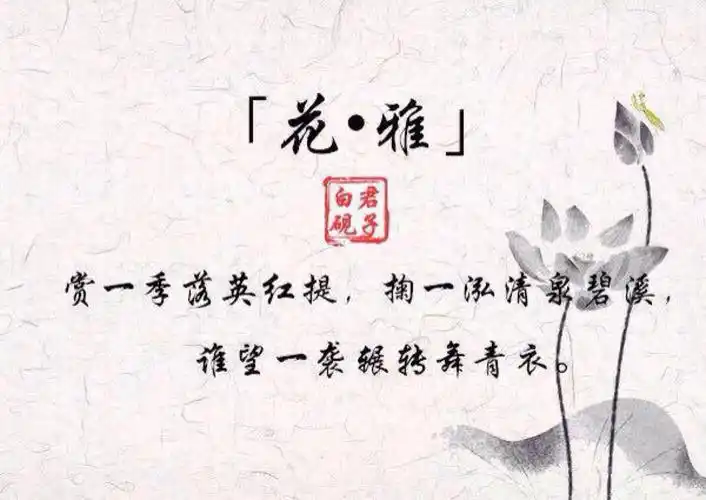古风八韵 古风文字 诗句 侵删 /欣勾勾 - 堆糖,美图壁纸兴趣社区