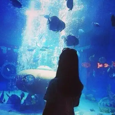 水族馆的情侣头像泳池情侣头像一对