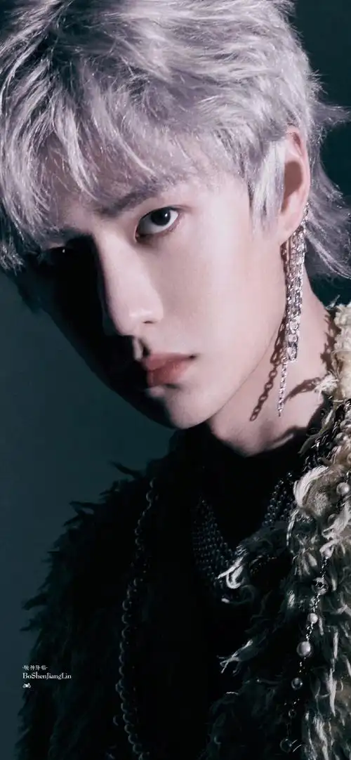 内娱银发漫撕男##王一博