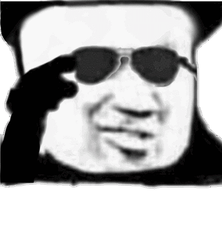 熊猫头推了推墨镜