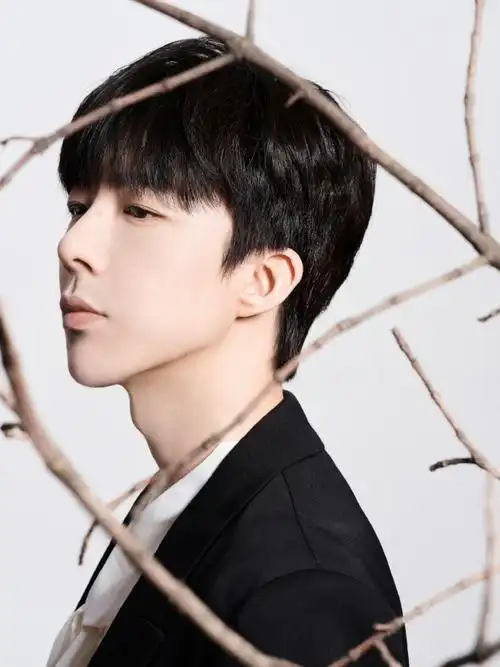 刘宇宁烈焰ost向死而生##刘宇宁帝林