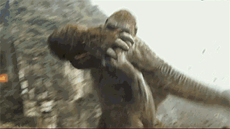 330_185gif 动态图 动图