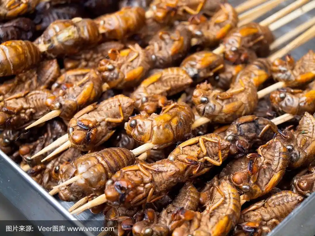 蝎子,烤的,昆虫,小吃,接力赛