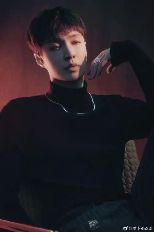 exo成员去了张艺兴演唱会