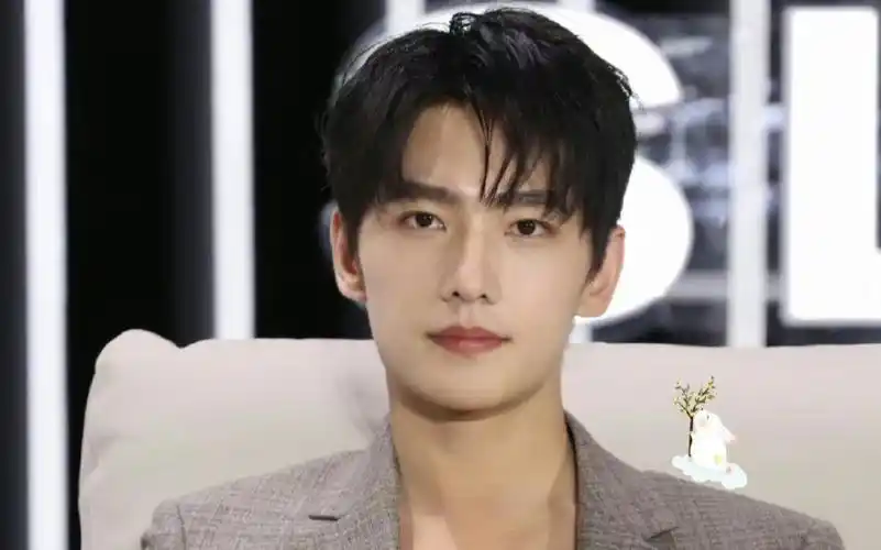 杨洋的面相八字分析