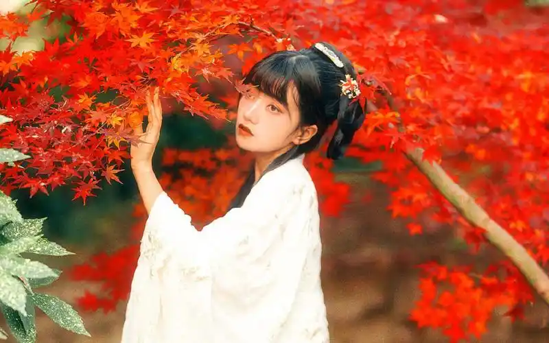 冷艳古风美女枫叶林写真图片壁纸.分享一组古风美女唯美写真壁纸图片
