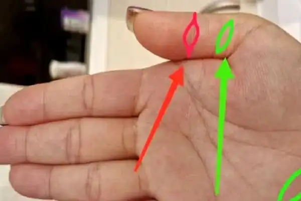 凤眼纹和佛眼纹的区别