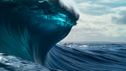 想少奋斗的动态图