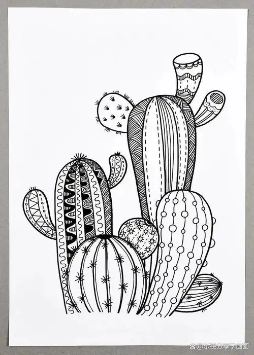 儿童画教程儿童装饰线描美术教案特别的仙人掌