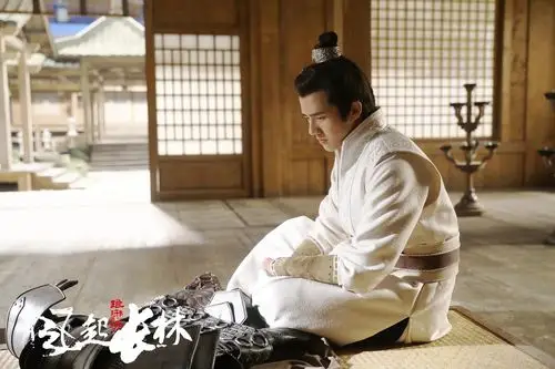 《琅琊榜2》刘昊然接过长林旌旗 抗旨退敌成国之脊梁