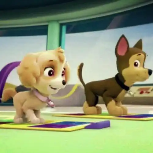 汪汪队阿奇简笔画头像