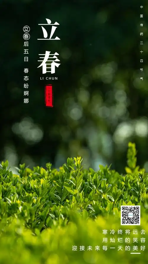 正版清新萌芽立春节气摄影图海报正版24节气图立春海报节日背景简约小