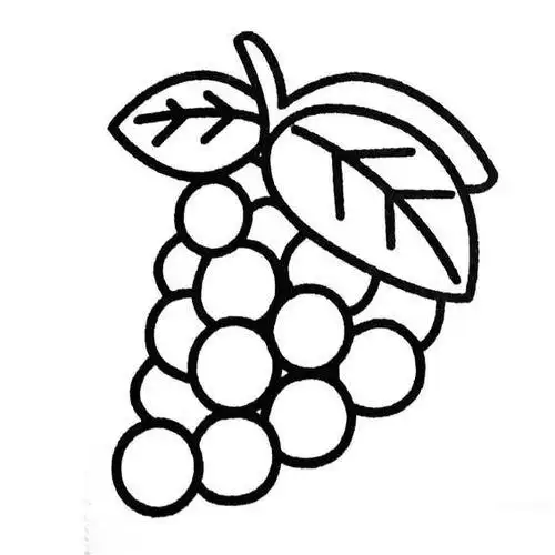 葡萄简笔画葡萄简笔画图片