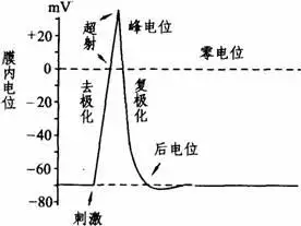 足疗肾保健时女技师按摩哪儿_按摩店肾保健和前列腺