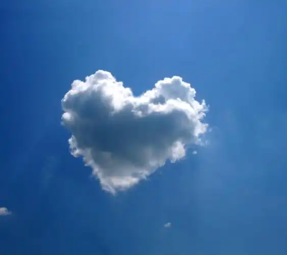 《绿皮书》:种族歧视的缩影集