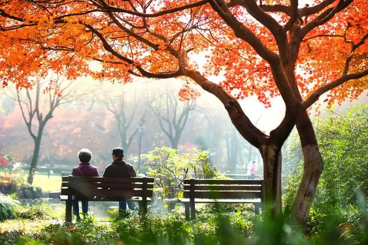 【最美夕阳红】