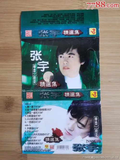 张宇单恋一枝花