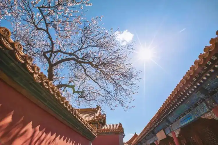 紫禁城 - 堆糖,美图壁纸兴趣社区