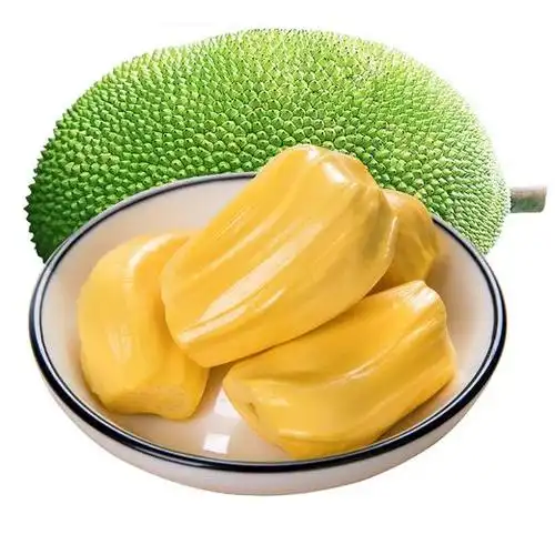 海南三亚菠萝蜜新鲜水果包邮一整个黄肉大树波萝密现摘波罗蜜