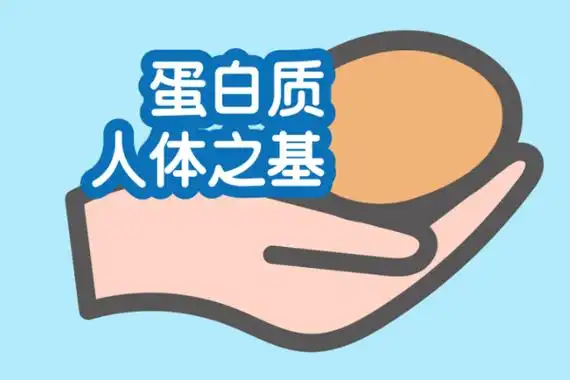 蛋白质的优点-丹蘅网