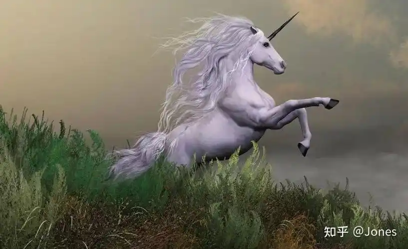 中美独角兽企业的生存发展趋势变化能带来哪些启发和警示