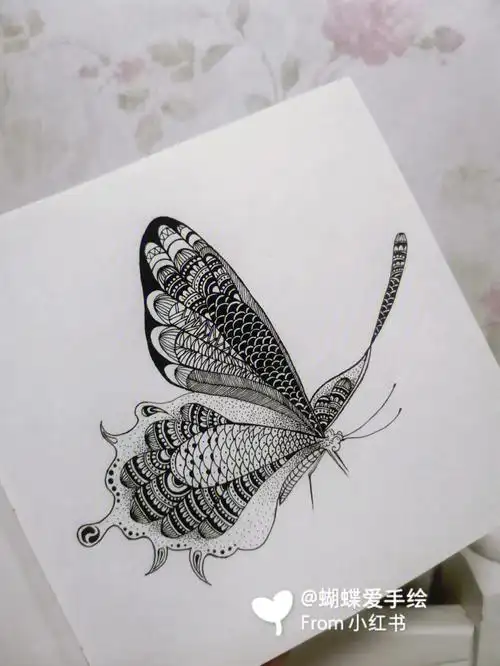 每日一画蝴蝶黑白手绘画