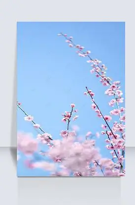 浪漫版图片素材_浪漫版模板下载-我图网vip素材