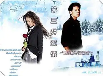 第三种爱情经典台词