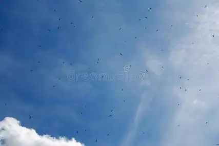 大红包满天飞图片