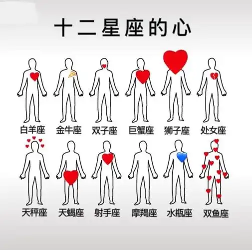 12星座冠军 12星座成绩排名第几