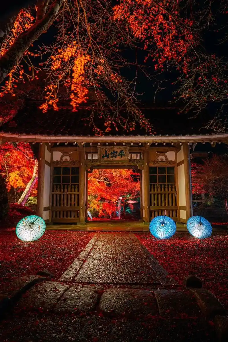 唯美意境 #深秋时节的诗情画意 #庭院 - 抖音