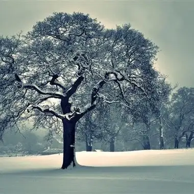 2021最美风景头像高清好看的2021最美微信风景图片