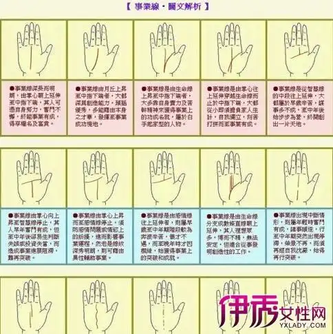 【图】手掌事业线图解大揭秘 45种类型你中了多少种