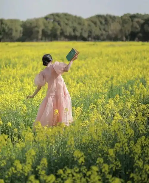 油菜花图片风景,油菜花田女生背影图片