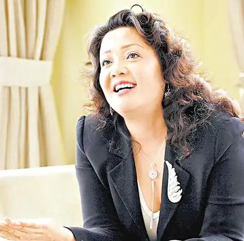 香港法院下令冻结俏江南创始人张兰资产