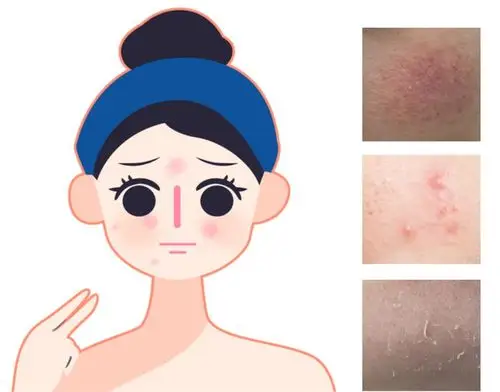 到底要怎么样屏障受损才能放过我啊