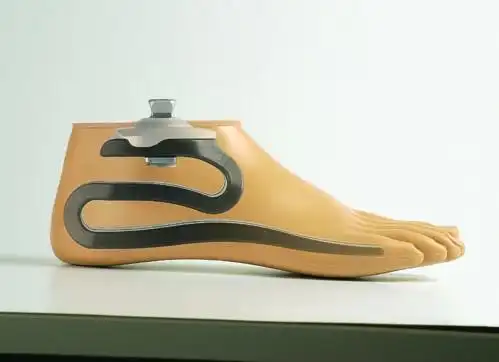 1d35动态储能脚--淮北市飞龙扶残假肢有限公司