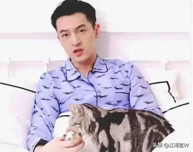 这才是胡歌的真实感情线,黄曦宁薛佳凝江疏影刘亦菲王晓晨唐嫣_恋情