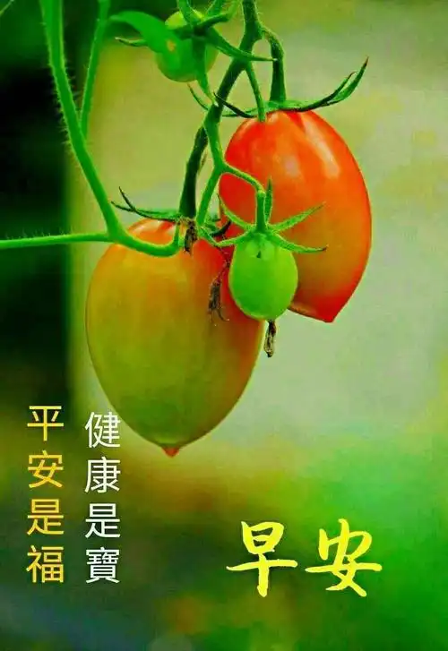 早上好表情图(5)