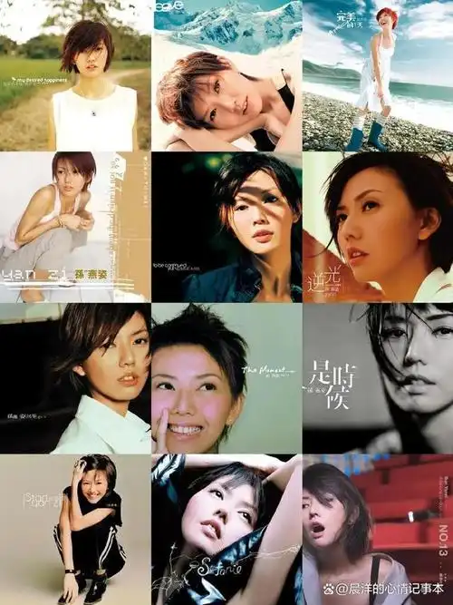 晨洋的音乐日记:有一种流行音乐叫孙燕姿