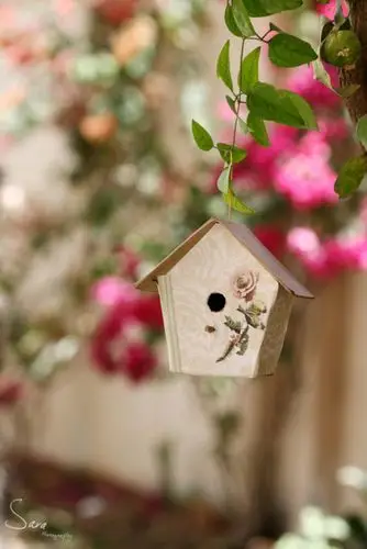 小物件,小清新,萌