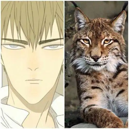 "19天"动物绘,见一变"萌狗",红毛是狐狸?蛇立太像了吧