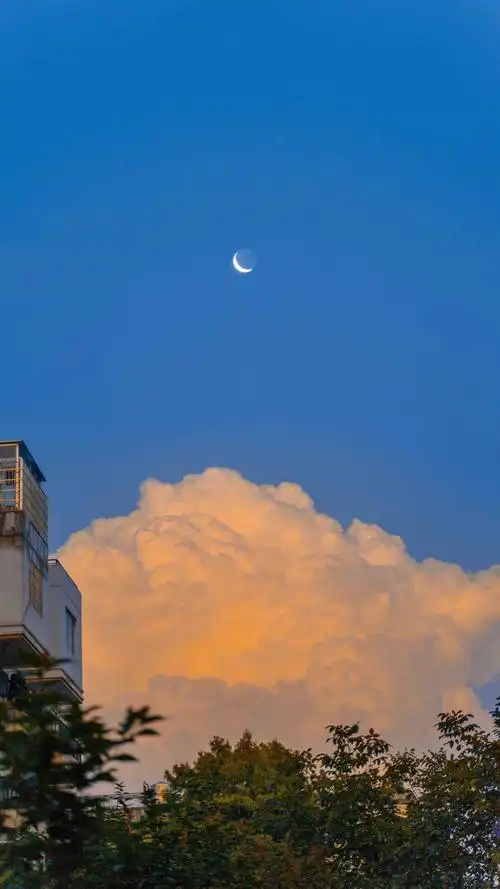 清新唯美治愈系自然风光