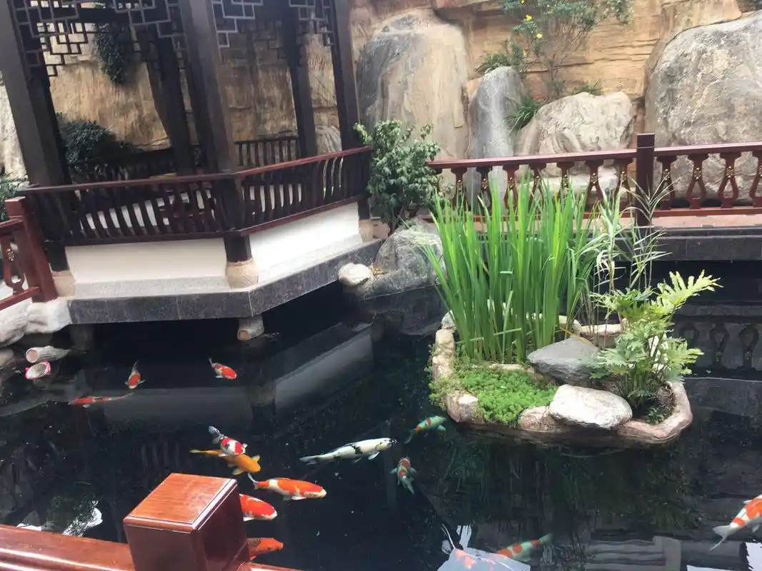 庭院景观水池 - 2020年最新商品信息聚合专区 - 百度爱采购